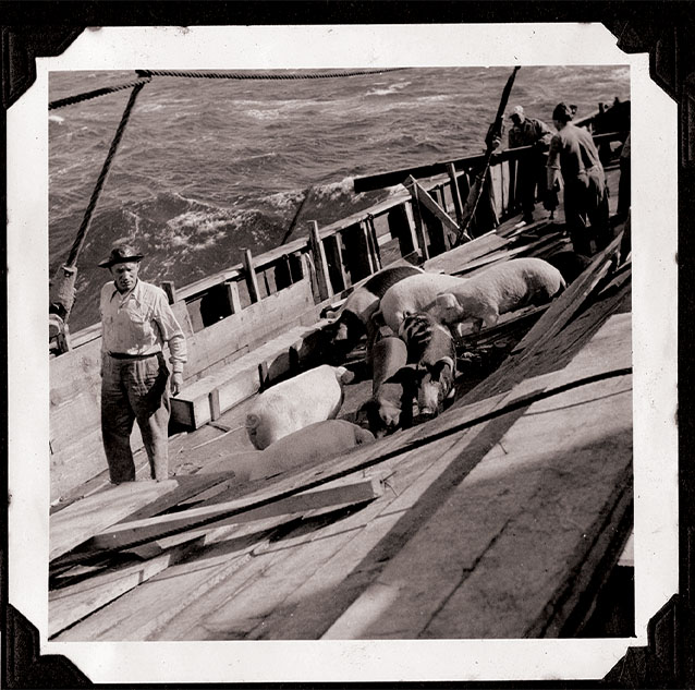 an old photograph on board a ship