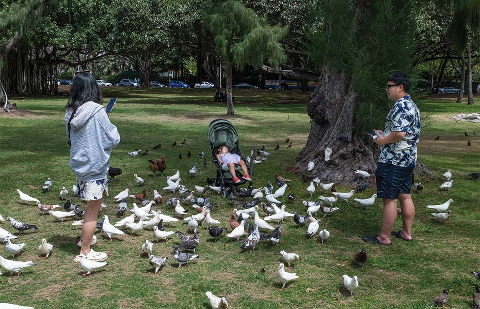 three people surrounded by birds