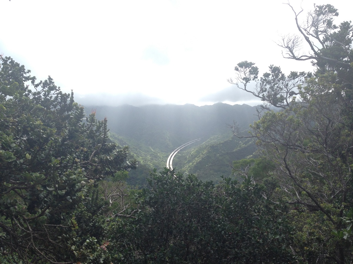 Lush Halawa valley