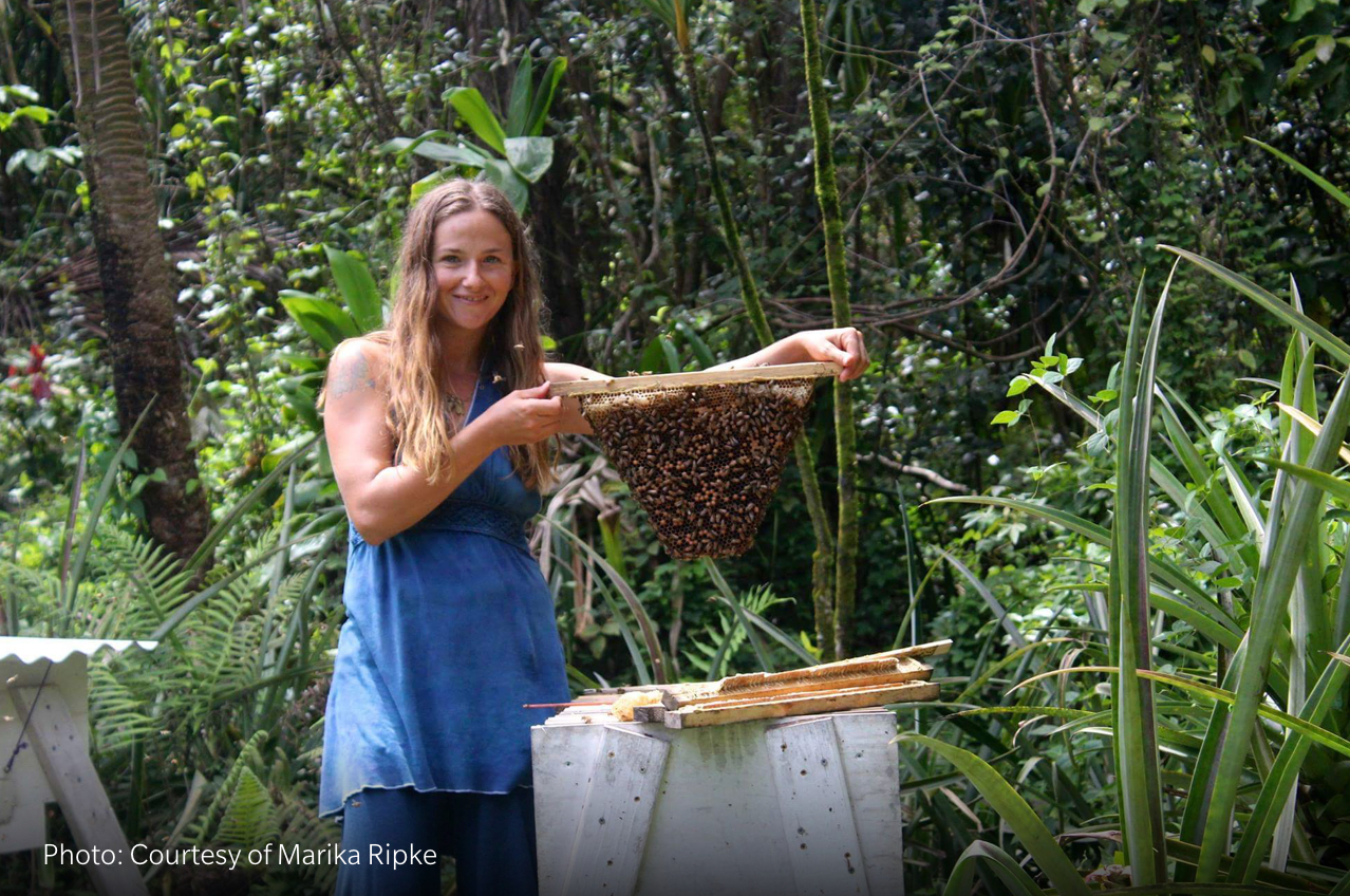 Beekeeping Lessons