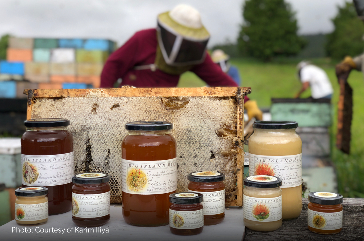 Beekeeping Tour