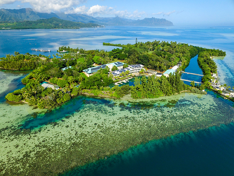 Moku o Lo‘e (Coconut Island)