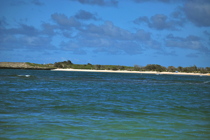 Mokuauia (Goat Island)