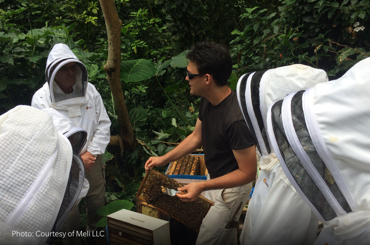 Introduction to Beekeeping