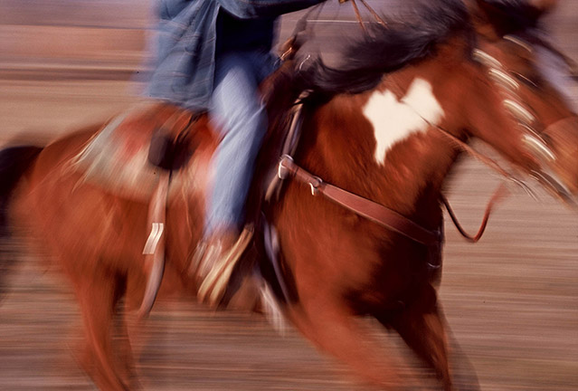 horseback riding