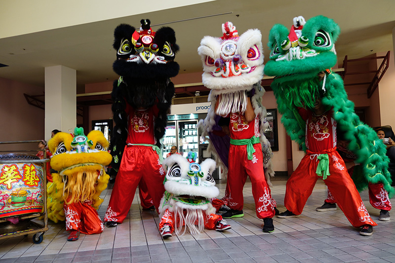 lion-dance