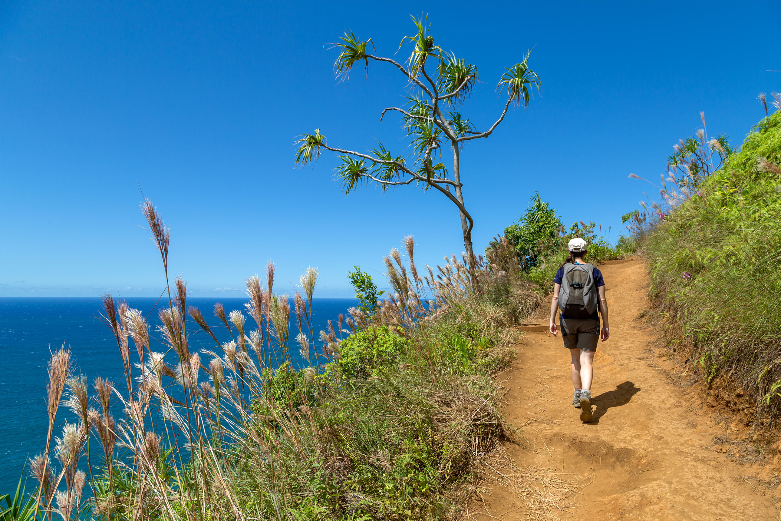 Kalalau trail